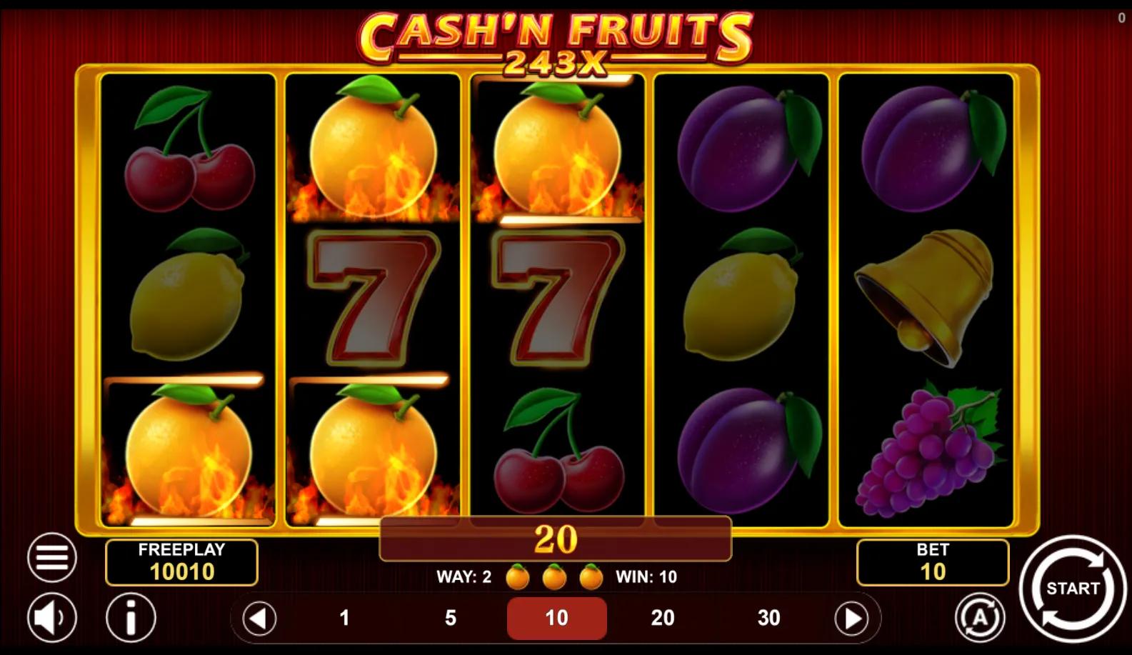 Cash'n Fruits 243 X slot gameplay screenshot