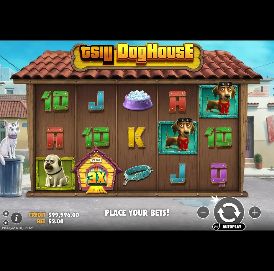 TSILI Dog House slot gameplay screenshot
