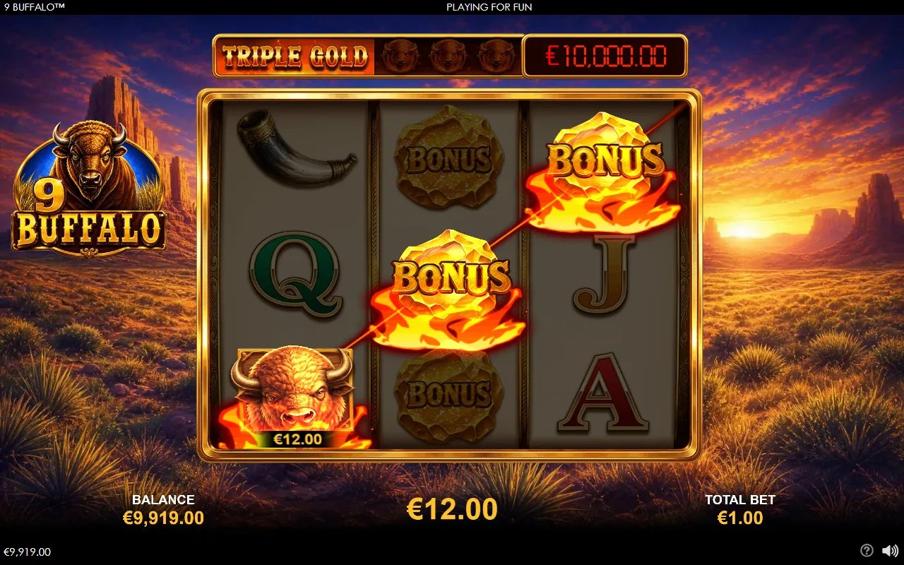 9 Buffalo - screenshot 1