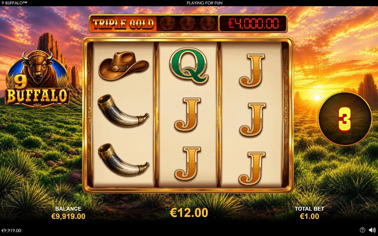 9 Buffalo - screenshot 3
