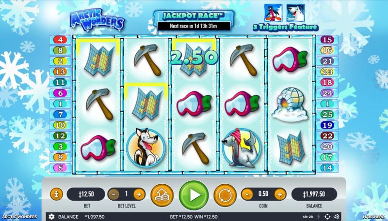 Arctic Wonders gameplay screenshot