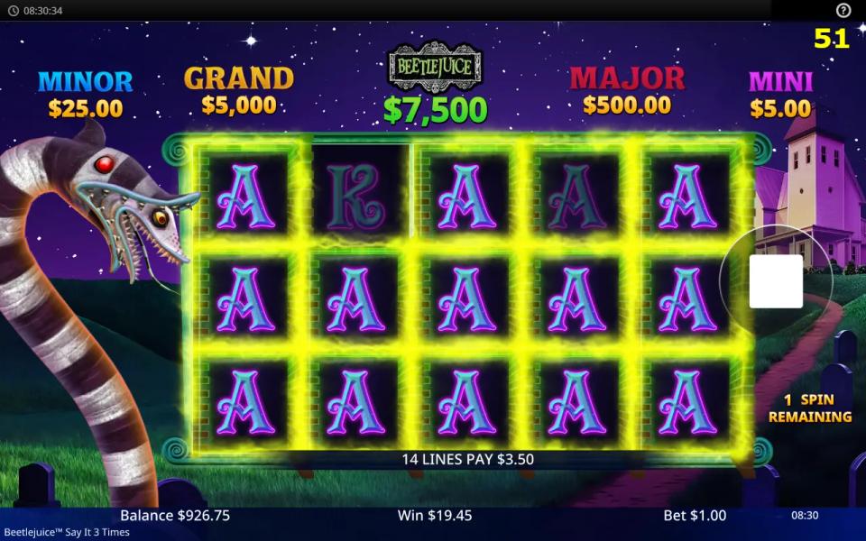Beetlejuice Say It 3 Times free spins with fourteen of the fifteen positions locked behind mystery shutters, all revealing the Ace symbol, paying fourteen lines