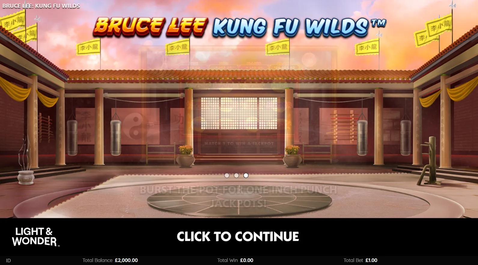 Bruce Lee Kung Fu Wilds gameplay screenshot