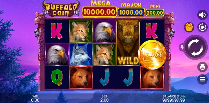 Buffalo Coin: Hold The Spin gameplay screenshot