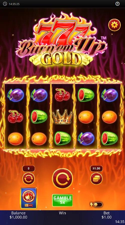 Burn 'em Up Gold gameplay screenshot
