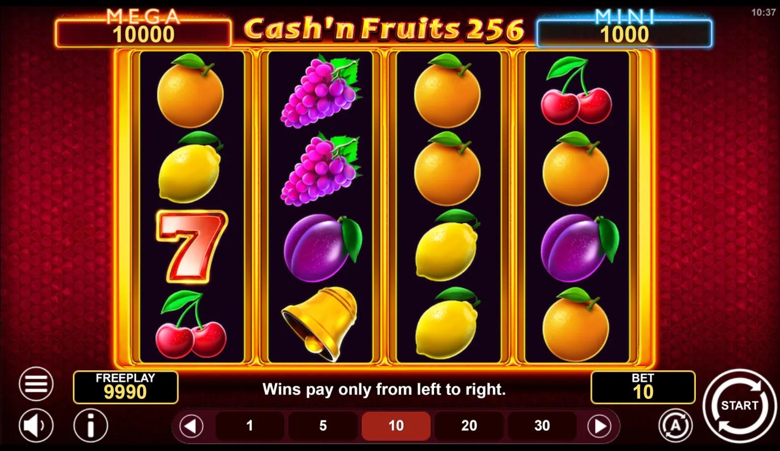 Cash n Fruits 256 Hold & Win gameplay screenshot