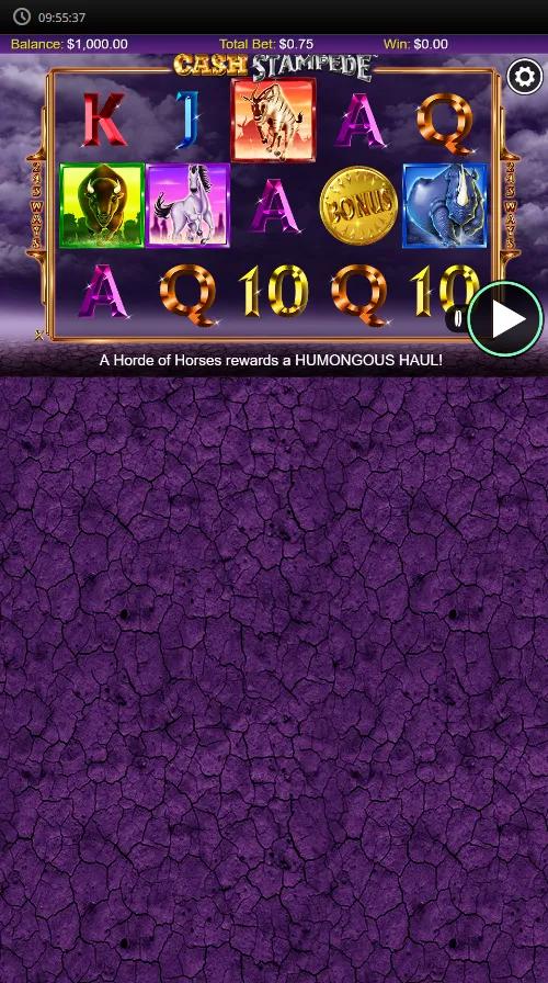 Cash Stampede slot showing 5x3 243-ways grid with charging animal symbols and gold BONUS scatter coin