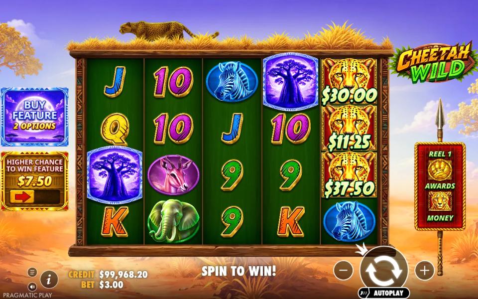 Cheetah Wild's 5x4 grid with three cheetah money symbols worth 78.75 between them stranded on the fifth reel and no collect symbol on the first