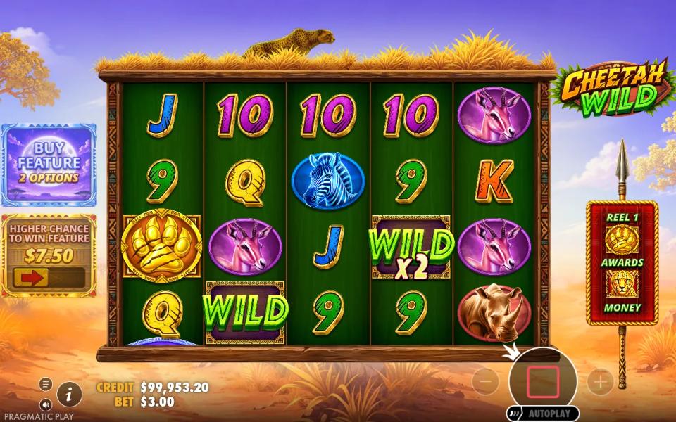 The 5x4 grid with the gold collect paw on the first reel and no money symbol anywhere on the board for it to gather