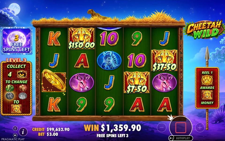 Free spins at level three with three cheetah money symbols on the grid and a collect symbol landing on the first reel