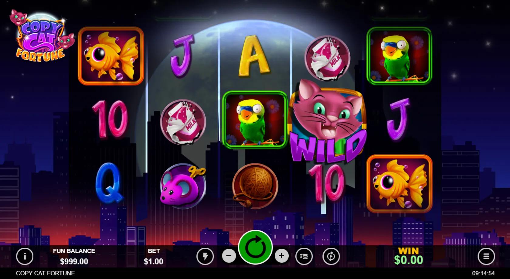Copy Cat Fortune slot gameplay screenshot