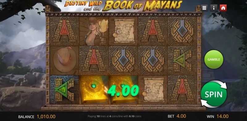 Destiny Wild and the Book of Mayans gameplay screenshot