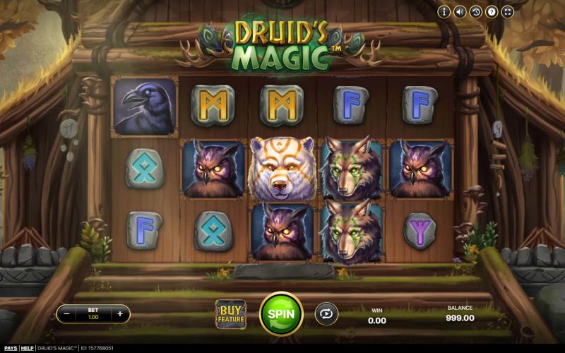 Druid's Magic gameplay screenshot