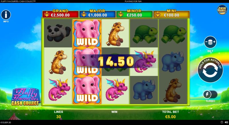 Fluffy Favourites: Cash Collect gameplay screenshot