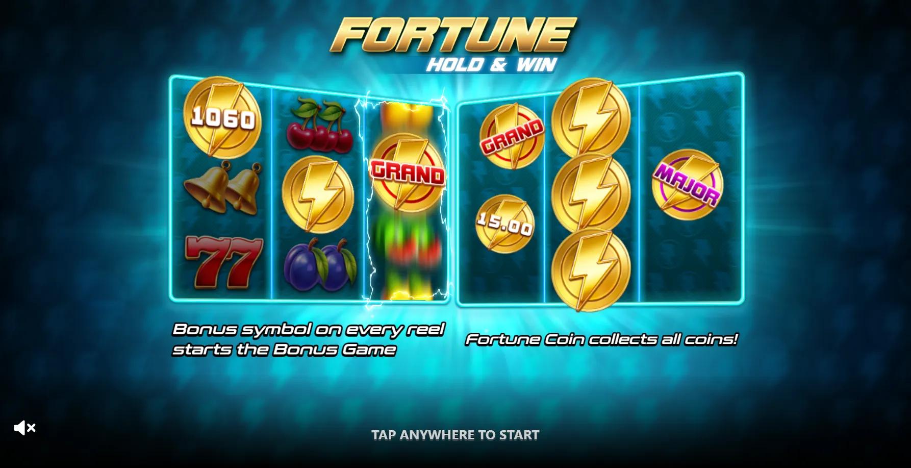 Fortune Hold and Win slot gameplay screenshot