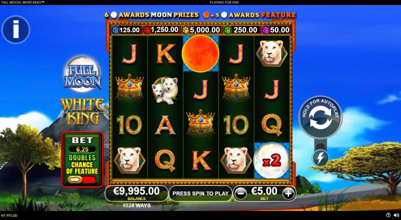 Full Moon: White King gameplay screenshot