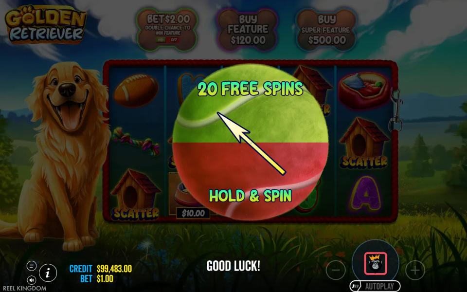 Golden Retriever feature pick, a tennis ball split between 20 free spins and Hold & Spin with an arrow deciding