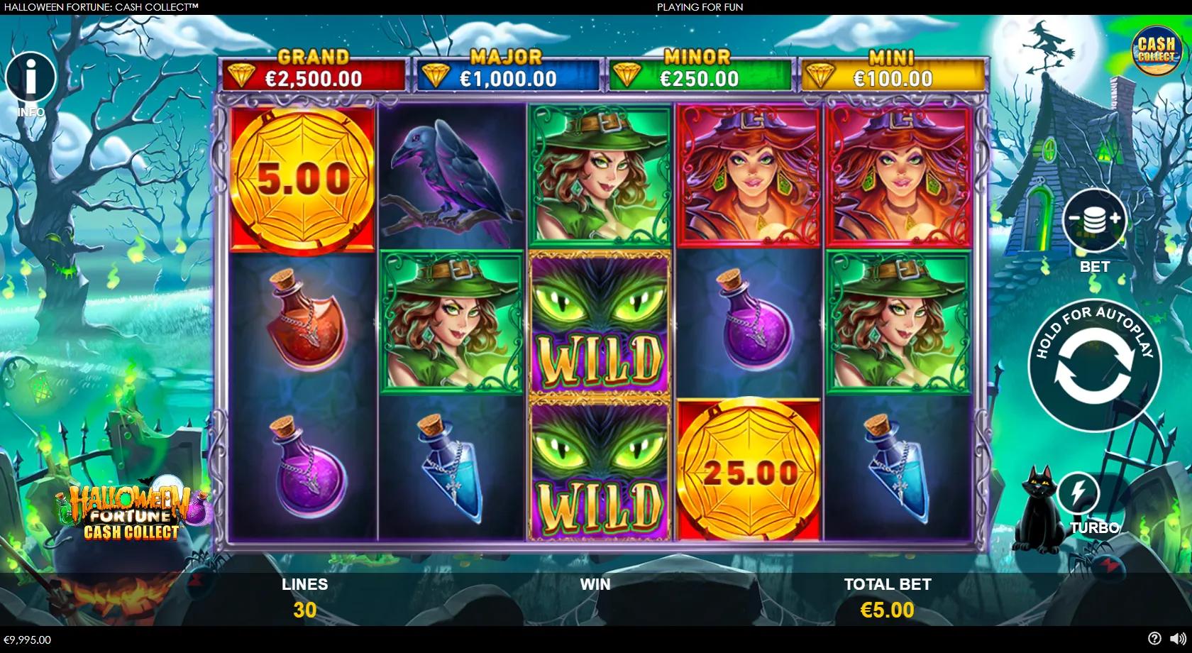 Halloween Fortune Cash Collect 5x3 witch grid with three witches, gold cash coins and a Cash Collect symbol beside jackpot meters