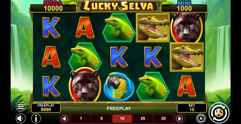 Lucky Selva Hold and Win gameplay screenshot