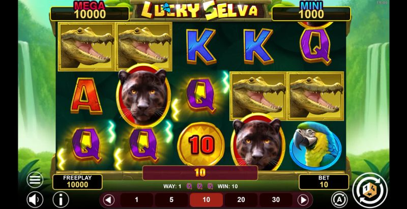 Lucky Selva Hold & Win gameplay screenshot