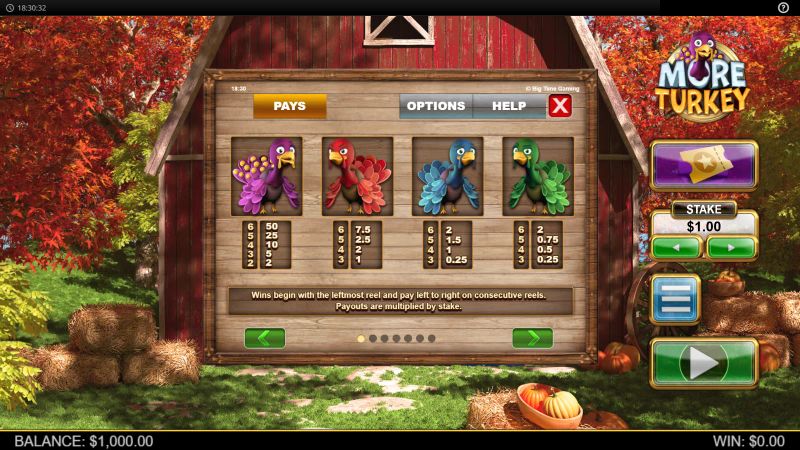 More Turkey gameplay screenshot