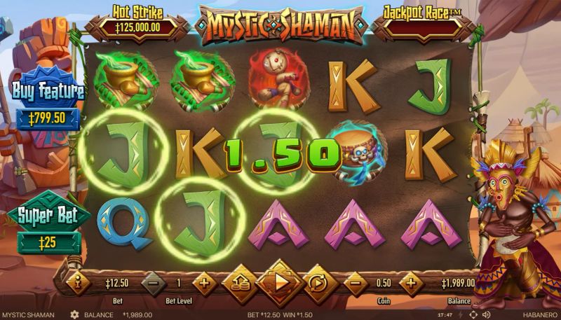 Mystic Shaman gameplay screenshot