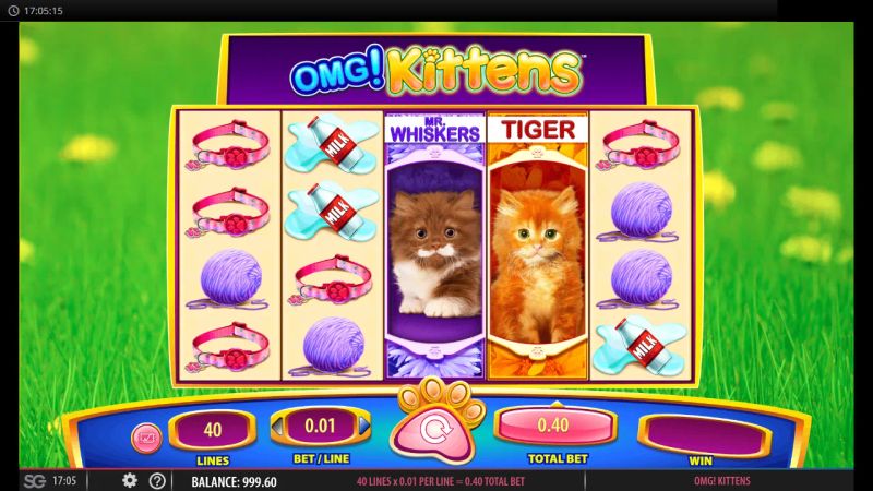 OMG! Kittens gameplay screenshot