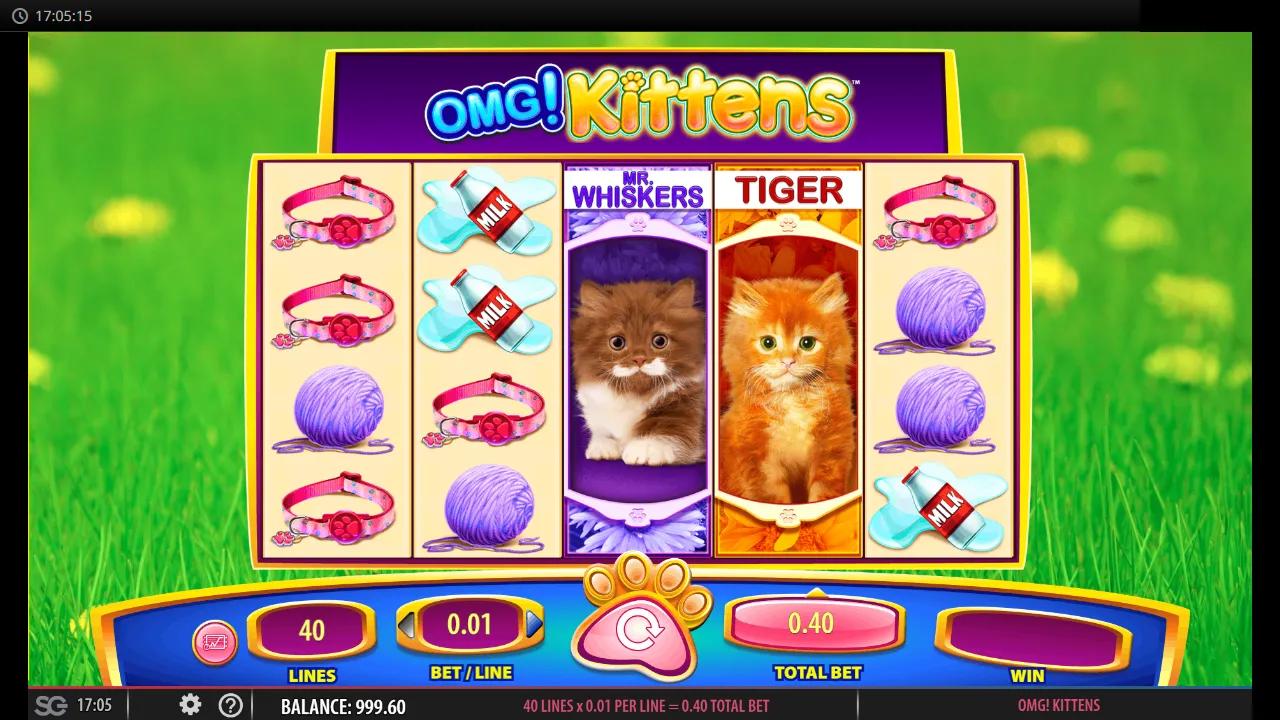 OMG! Kittens slot gameplay showing 5x4 grid with full-stacked Mr Whiskers and Tiger premium kitten symbols