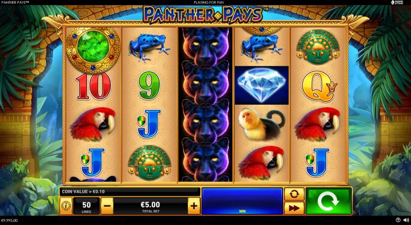 Panther Pays gameplay screenshot