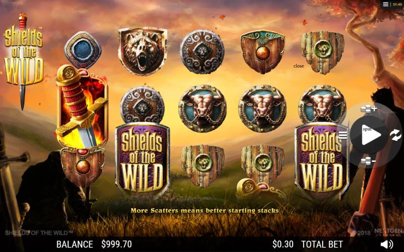 Shields of the Wild gameplay screenshot