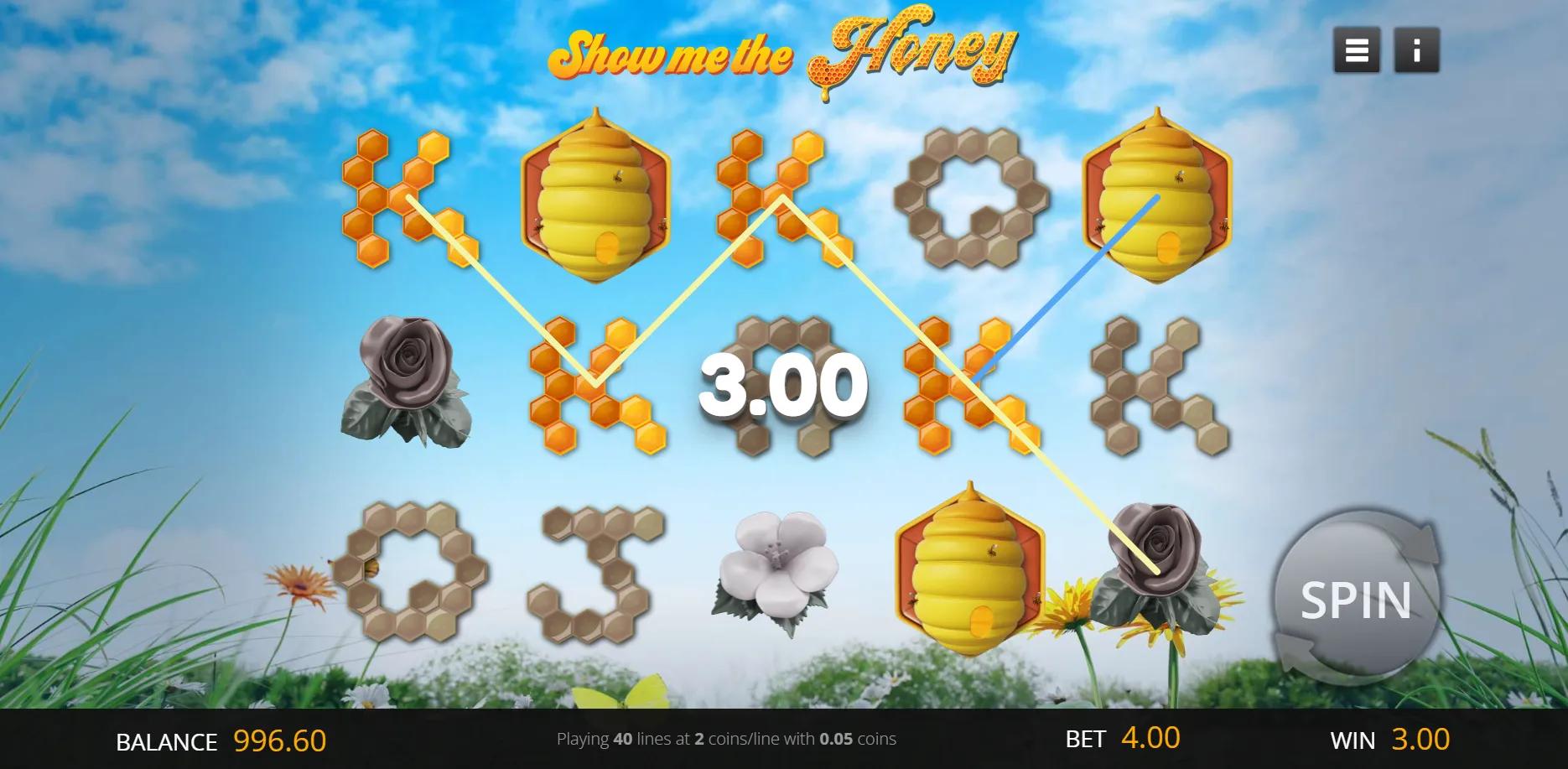 Show Me The Honey slot gameplay screenshot