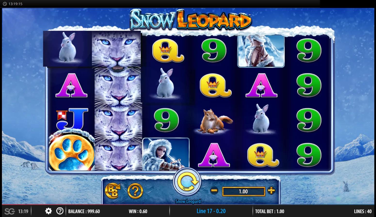 Snow Leopard slot gameplay showing 6x4 grid with the guaranteed stacked Wild Reel of leopard faces