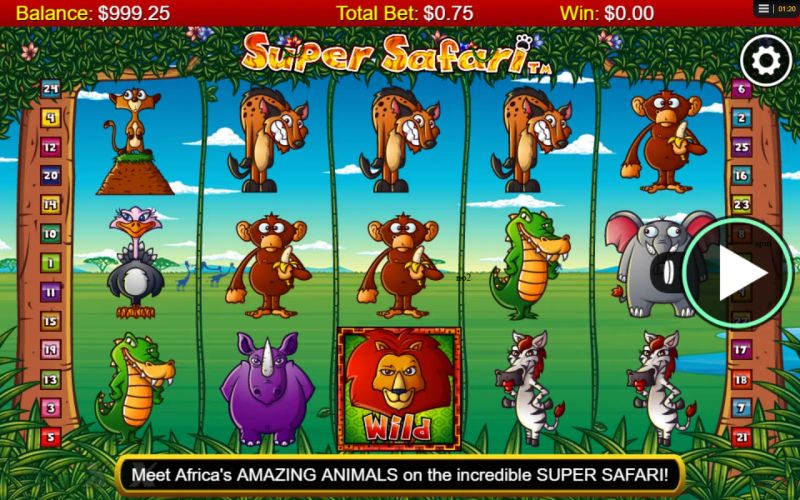 Super Safari gameplay screenshot