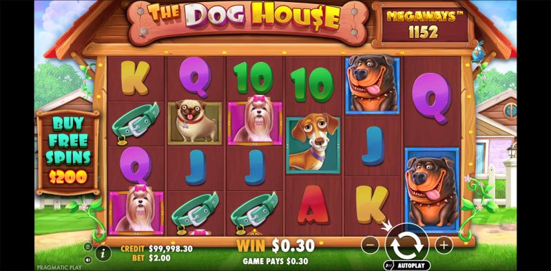 The Dog House Megaways gameplay screenshot