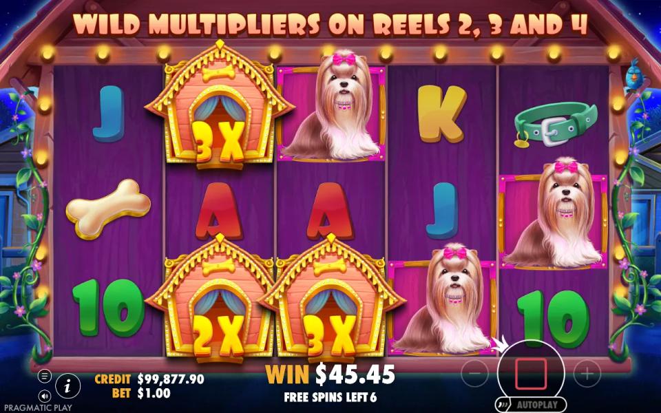 The Dog House free spins at night with three sticky multiplier wilds held on reels 2 and 3