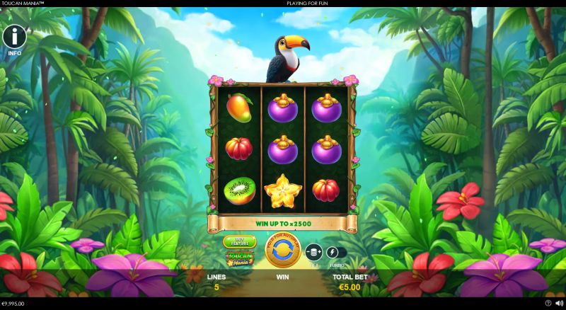 Toucan Mania gameplay screenshot
