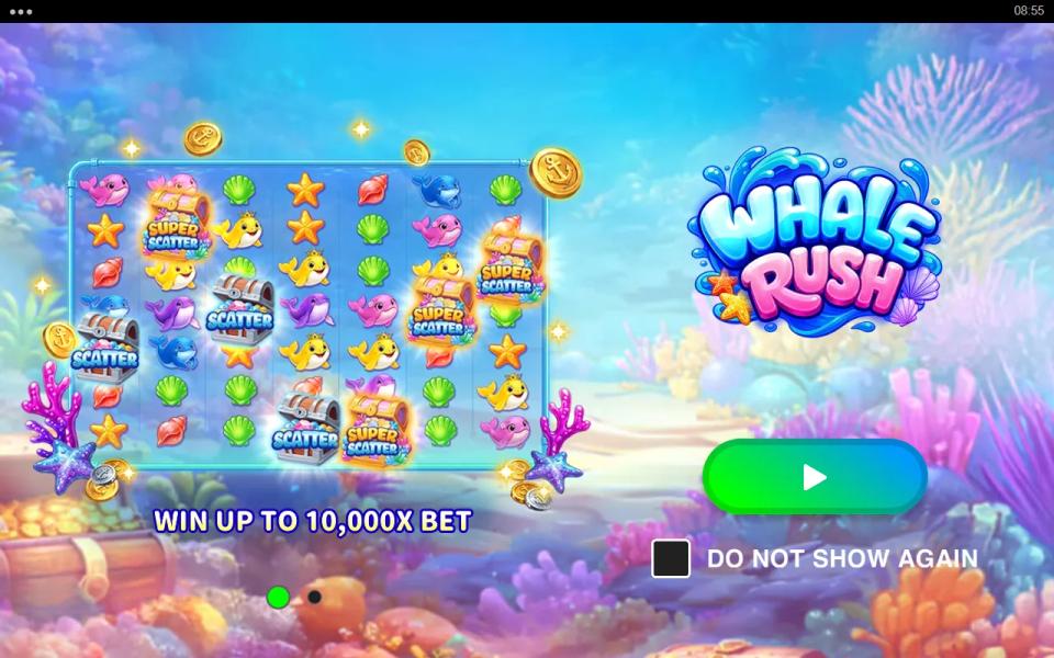 Whale Rush intro slide showing a 7x7 board crowded with silver Scatter and gold Super Scatter chests under the line WIN UP TO 10,000X BET