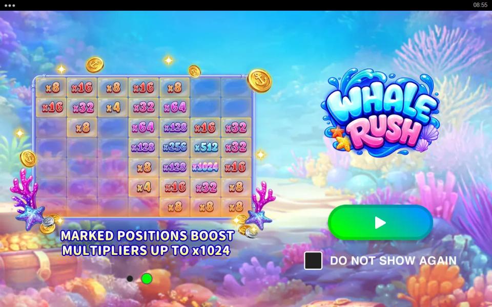 Whale Rush intro slide showing a grid of multiplier cells running from x4 up to x1024 under the line about marked positions