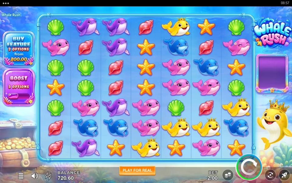 Whale Rush base game 7x7 grid packed with pink, purple, blue and yellow whales and no treasure chest anywhere