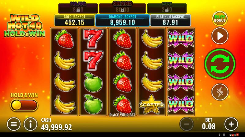 Wild Hot 40 Hold & Win gameplay screenshot