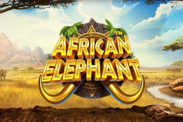 African Elephant - Pragmatic Play Slot
