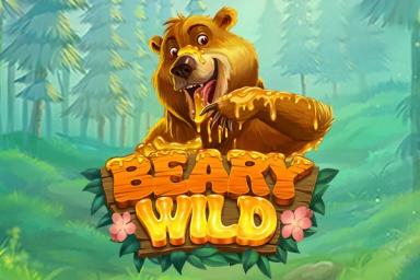 Beary Wild - RealTime Gaming Slot