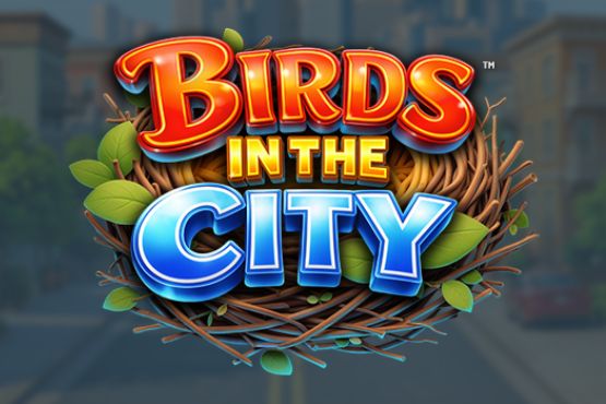 Birds in the City
