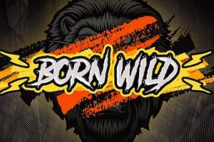Born Wild - Hacksaw Gaming Slot