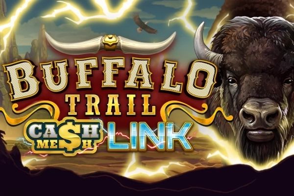 Buffalo Trail Cash Mesh LINK