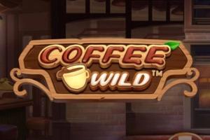 Coffee Wild - Pragmatic Play Slot