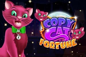 Copy Cat Fortune - RealTime Gaming Slot