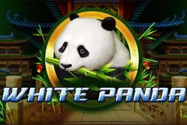 Full Moon: White Panda - Playtech Slot