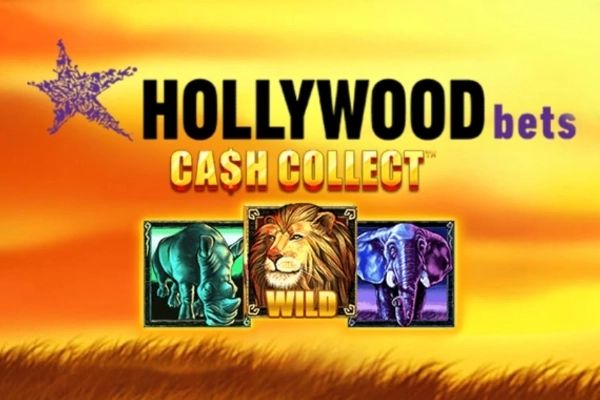 Hollywoodbets: Cash Collect