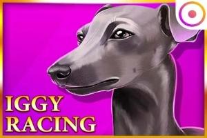 Iggy Racing - Onlyplay Slot